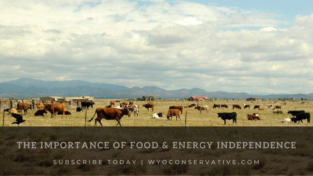 The Importance of Food and Energy Independence